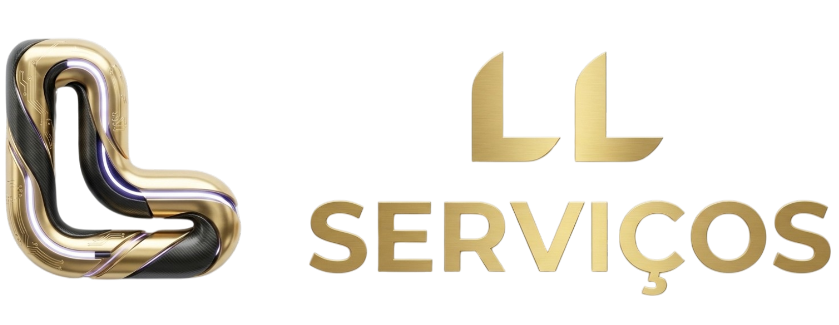 LL Desentupidora